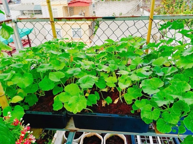 Siêu hiếm nhà phân lô Phố Nguyễn An Ninh 6 Tầng 60m2 12 lẻ vài xu